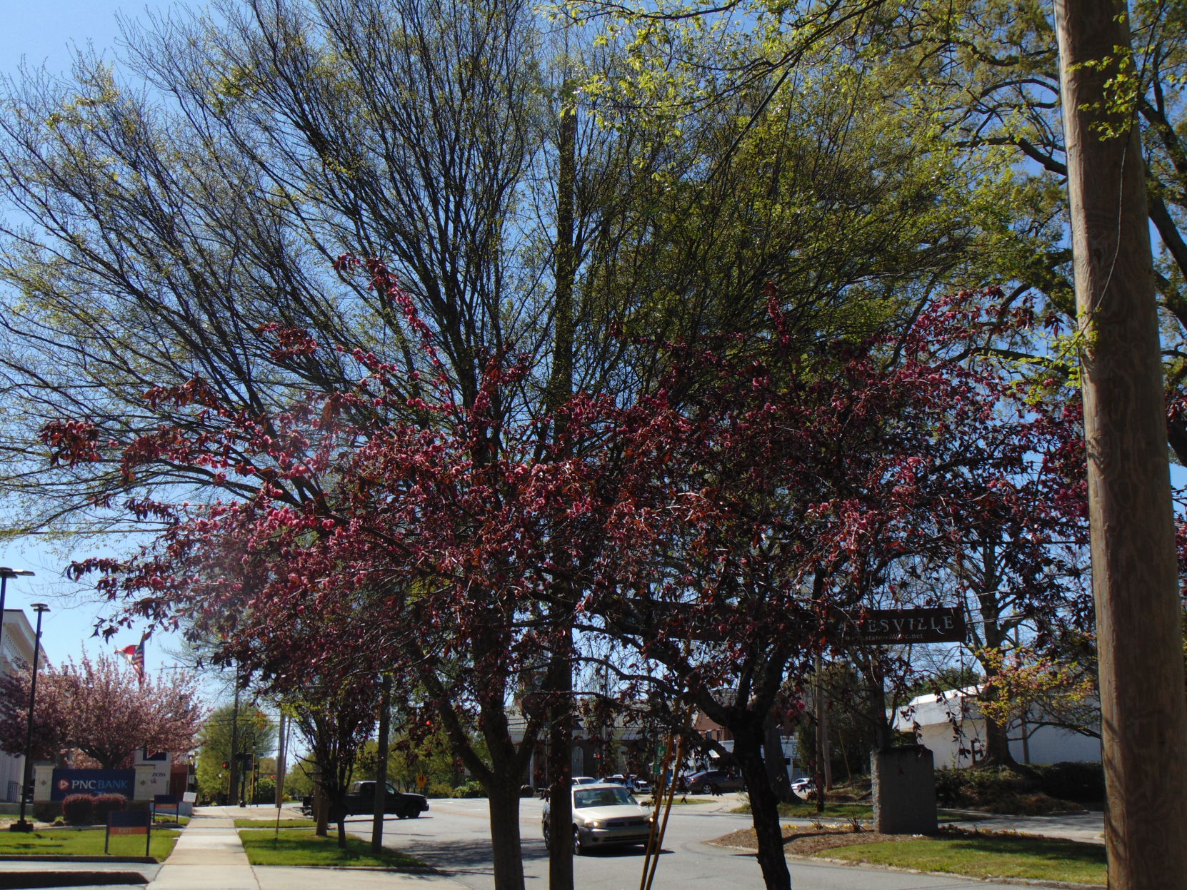 Spring photos (55).JPG